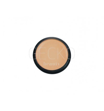 Corrector de maquillaje ivoire 3g