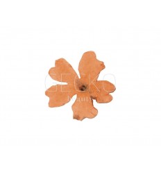 Adornos para uñas flores secas - orange