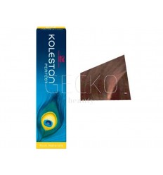 TINTE KOLESTON 7/3 WELLA
