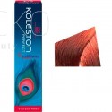 TINTE KOLESTON 88/43 WELLA